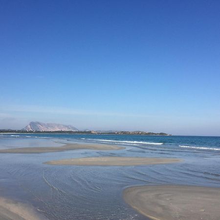 Hotel Al Faro Spiaggia La Cinta Santeodoro 圣特奥多罗 外观 照片