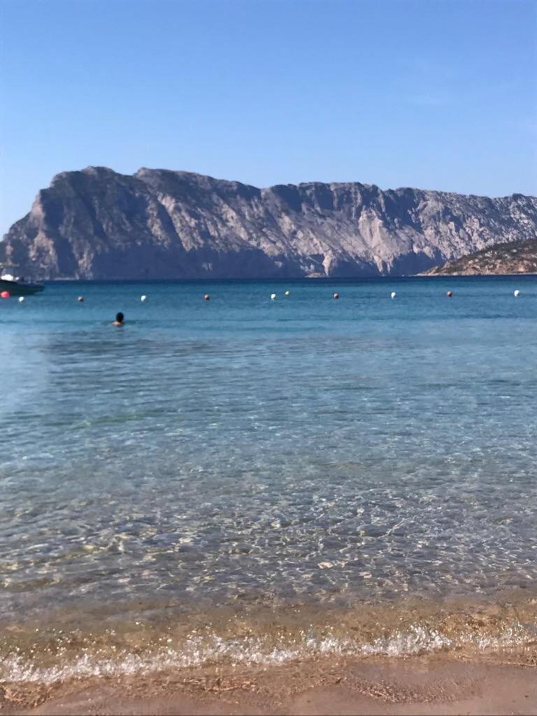 Hotel Al Faro Spiaggia La Cinta Santeodoro 圣特奥多罗 外观 照片