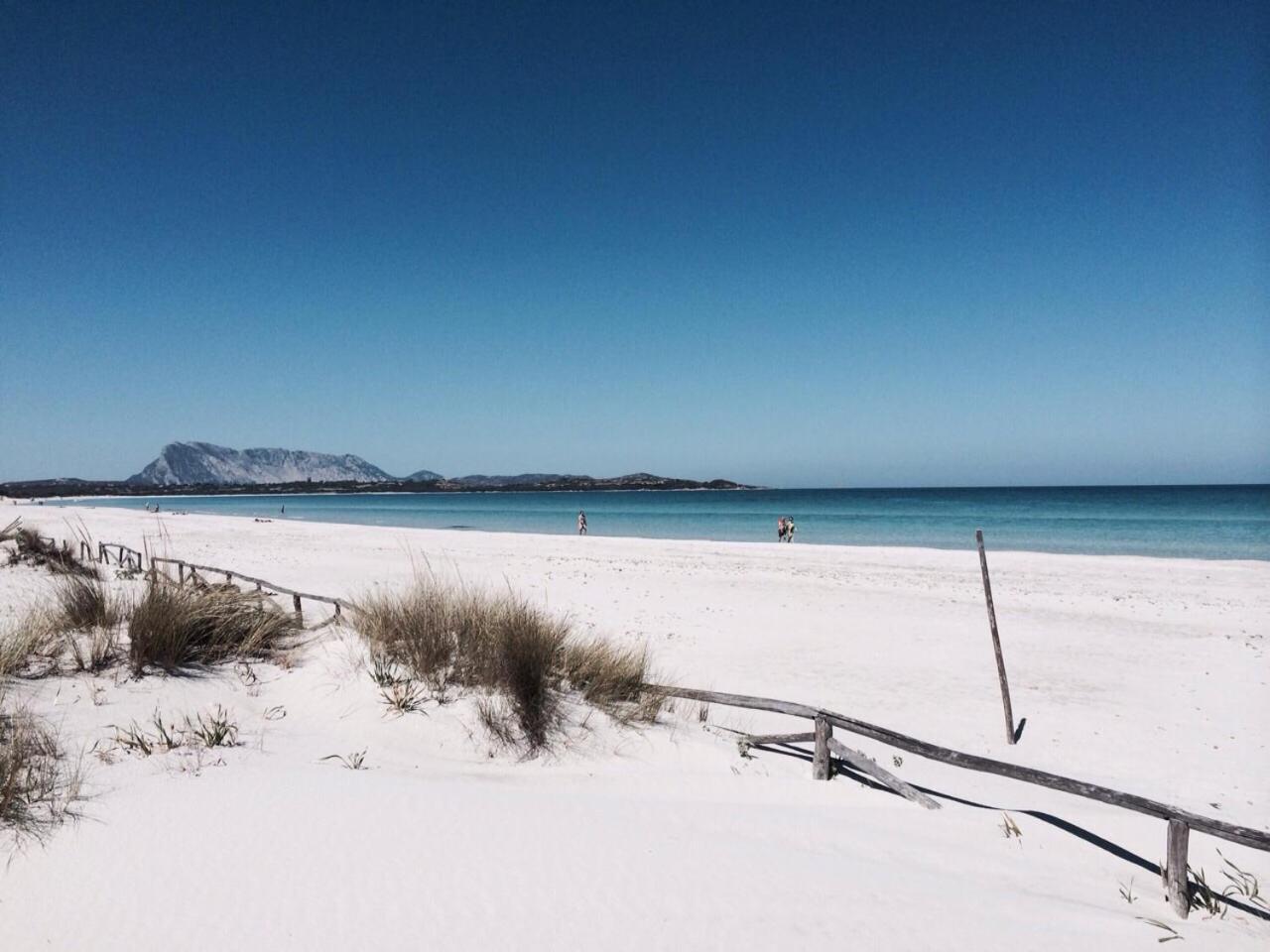 Hotel Al Faro Spiaggia La Cinta Santeodoro 圣特奥多罗 外观 照片