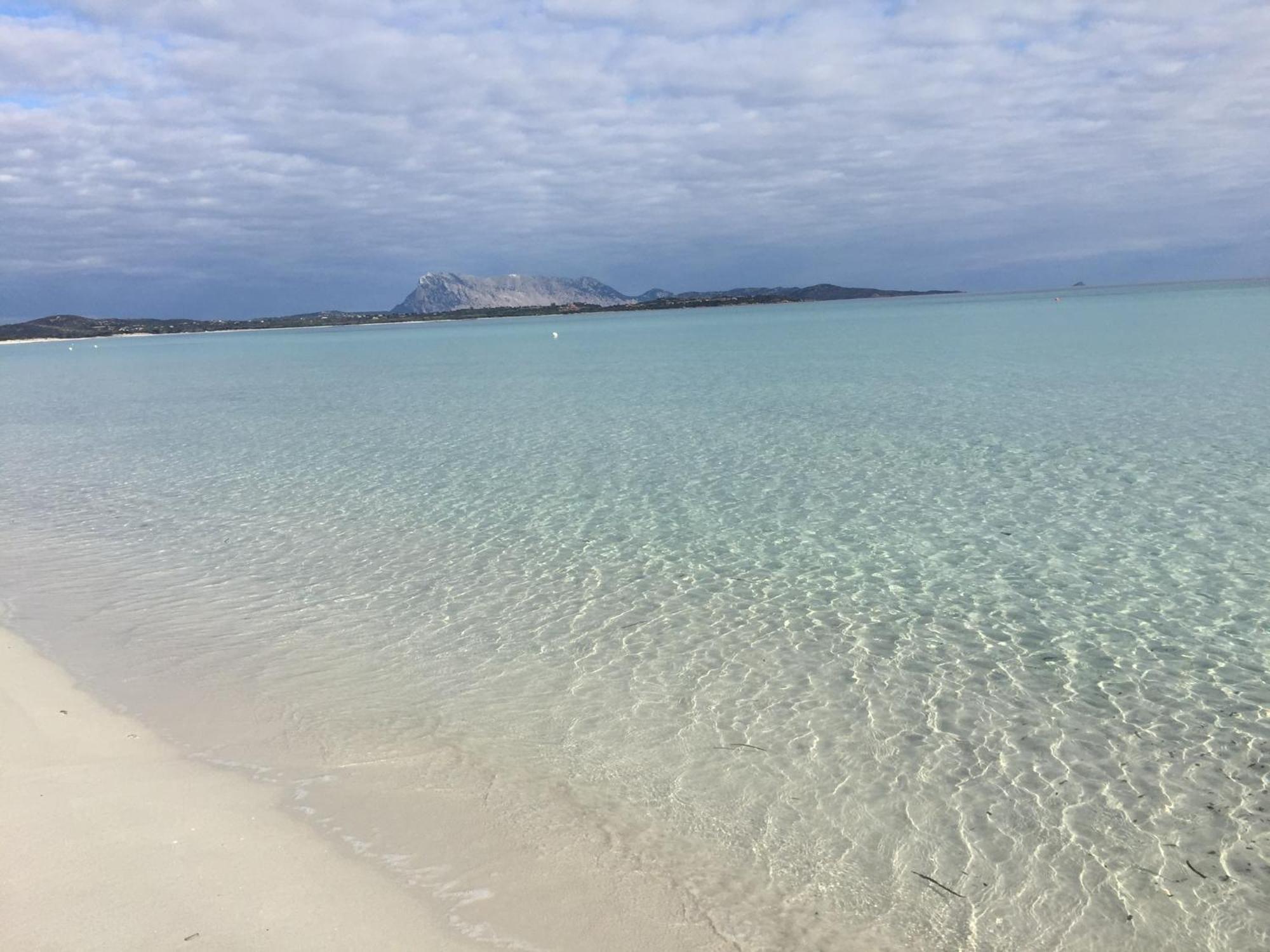 Hotel Al Faro Spiaggia La Cinta Santeodoro 圣特奥多罗 外观 照片